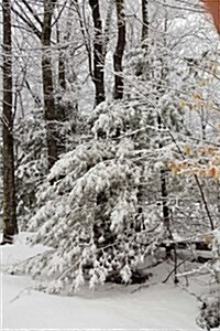 Journal Scenic Winter Weather Trees: (Notebook, Diary, Blank Book) (Paperback)