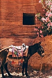 Darling Donkey with a Colorful Saddle Blanket Journal: 150 Page Lined Notebook/Diary (Paperback)