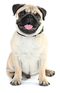 Pug Journal: Lined Journal, 120 pages, 5.5 x 8.5, Adorable Pug Image, Soft Matte Cover (Paperback)