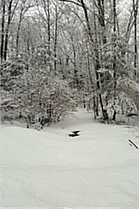 Journal Scenic Winter Weather Woodlands: (Notebook, Diary, Blank Book) (Paperback)