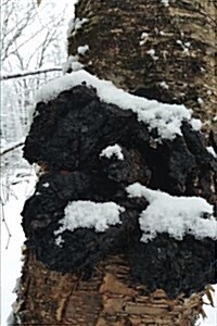 Journal Chaga Mushrooms Birch Tree Winter Snow: (Notebook, Diary, Blank Book) (Paperback)