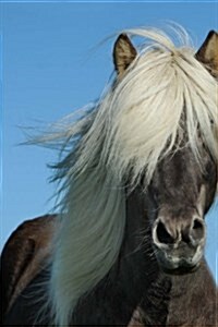 A Beautiful Icelandic Horse Journal: Take Notes, Write Down Memories in This 150 Page Lined Journal (Paperback)