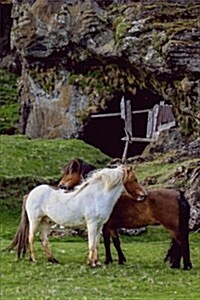 Two Gorgeous Horses in a Green Pasture Journal: 150 Page Lined Notebook/Diary (Paperback)