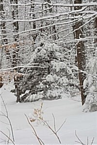 Journal Winter Weather Snowy Forest: (Notebook, Diary, Blank Book) (Paperback)