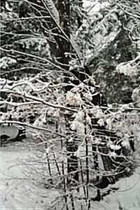 Journal Pretty Winter Day Photography: (Notebook, Diary, Blank Book) (Paperback)
