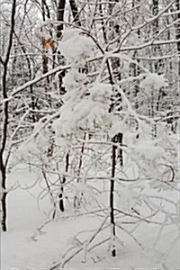 Journal After Snowstorm Winter Picture: (Notebook, Diary, Blank Book) (Paperback)