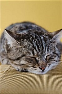 Adorable Gray and Black Striped Cat Napping on the Sofa Journal: 150 Page Lined Notebook/Diary (Paperback)
