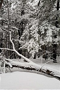 Journal Snowstorm Winter Day Photography: (Notebook, Diary, Blank Book) (Paperback)