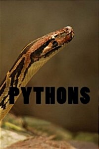 Pythons: 150 Lined Pages (Paperback)