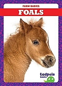 Foals (Paperback)