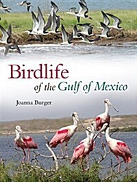 Birdlife of the Gulf of Mexico (Hardcover)