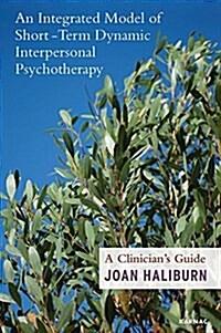 An Integrated Approach to Short-Term Dynamic Interpersonal Psychotherapy : A Clinicians Guide (Paperback)