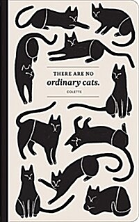 There Are No Ordinary Cats (Paperback)
