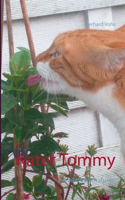 Kater Tommy: Ein Wolf im Schafspelz (Paperback)