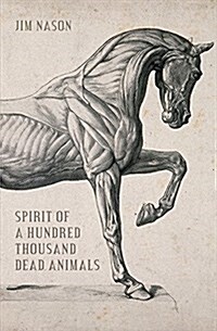 Spirit of a Hundred Thousand Dead Animals (Paperback)