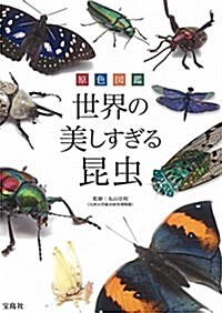 原色圖鑑 世界の美しすぎる昆蟲 (單行本)