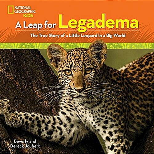 A Leap for Legadema: The True Story of a Little Leopard in a Big World (Hardcover)