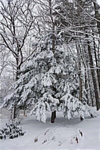 Snowstorm Trees Winter Weather Journal: (Notebook, Diary, Blank Book) (Paperback)