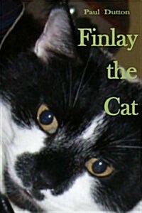 Finlay the Cat (Paperback)