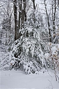 Snowy Forest Winter Weather Journal: (Notebook, Diary, Blank Book) (Paperback)