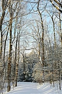 Sunlight Among Trees Winter Weather Journal: (Notebook, Diary, Blank Book) (Paperback)
