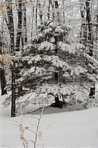 Winter Picture Scenic Journal: (Notebook, Diary, Blank Book) (Paperback)