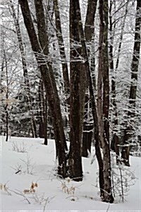 Winter Picture Snowy Trees Journal: (Notebook, Diary, Blank Book) (Paperback)