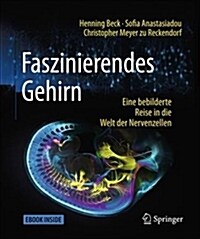 Faszinierendes Gehirn: Eine Bebilderte Reise in Die Welt Der Nervenzellen (Paperback, 2, 2. Aufl. 2018)