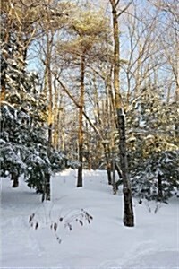 Sunlight Trees Winter Weather Journal: (Notebook, Diary, Blank Book) (Paperback)