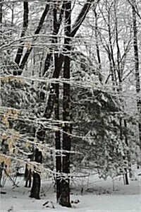 Winter Snowstorm Photography Journal: (Notebook, Diary, Blank Book) (Paperback)