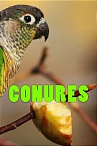 Conures: 150 Lined Pages (Paperback)