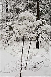 Winter Picture Journal After Snowstorm: (Notebook, Diary, Blank Book) (Paperback)