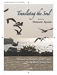 Translating the Soul: Essays (Paperback)