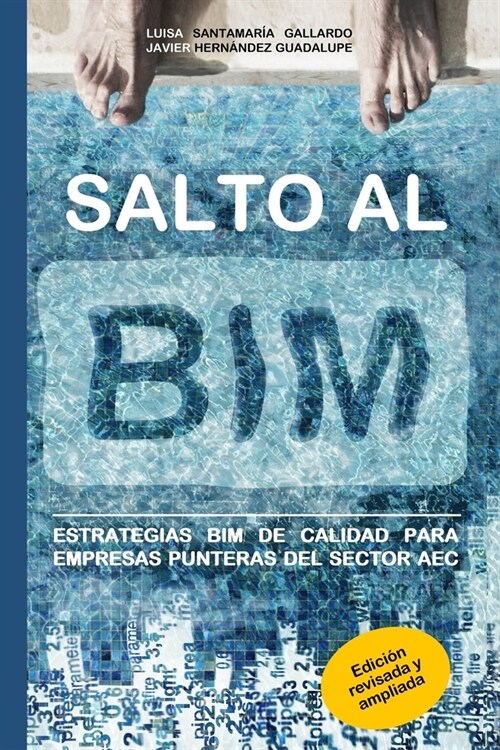 Salto Al Bim: Estrategias Bim de Calidad Para Empresas Punteras del Sector Aec (Paperback)