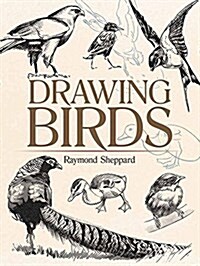 Drawing Birds (Paperback)