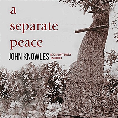 A Separate Peace (Audio CD)