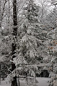 Pretty Winter Snowstorm Photography Journal: (Notebook, Diary, Blank Book) (Paperback)