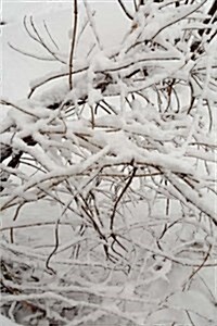 Scenic Winter Photo Journal Snow Covered Branches: (Notebook, Diary, Blank Book) (Paperback)