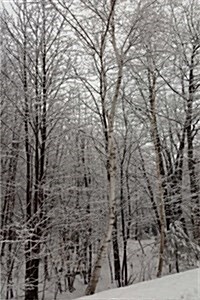 Scenic Winter Photo Journal Woods: (Notebook, Diary, Blank Book) (Paperback)