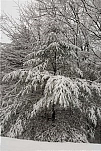 Scenic Winter Photo Journal Snow Covered Evergreen: (Notebook, Diary, Blank Book) (Paperback)