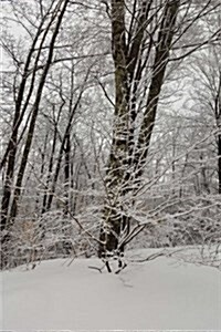 Snow Covered Branches Scenic Winter Photo Journal: (Notebook, Diary, Blank Book) (Paperback)