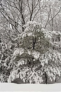 Snow Covered Evergreen Scenic Winter Photo Journal: (Notebook, Diary, Blank Book) (Paperback)