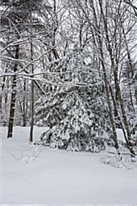 Winter Weather Journal Snowstorm Trees: (Notebook, Diary, Blank Book) (Paperback)