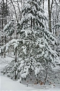 Woods After Snowstorm Winter Weather Journal: (Notebook, Diary, Blank Book) (Paperback)