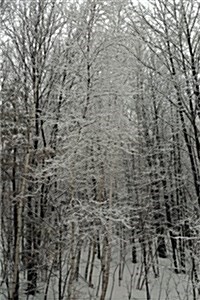 Woods Scenic Winter Photo Journal: (Notebook, Diary, Blank Book) (Paperback)