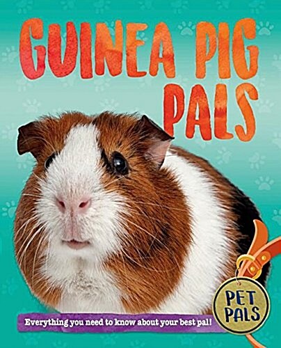 Guinea Pig Pals (Paperback)