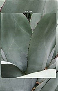 Cactus: Journal (Paperback)