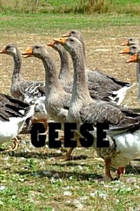 Geese: Journal or Notebook with 150 Lined Pages (Paperback)