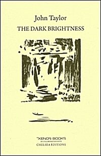 The Dark Brightness (Paperback)