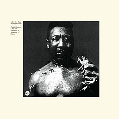 [수입] Muddy Waters - After The Rain [180g LP]